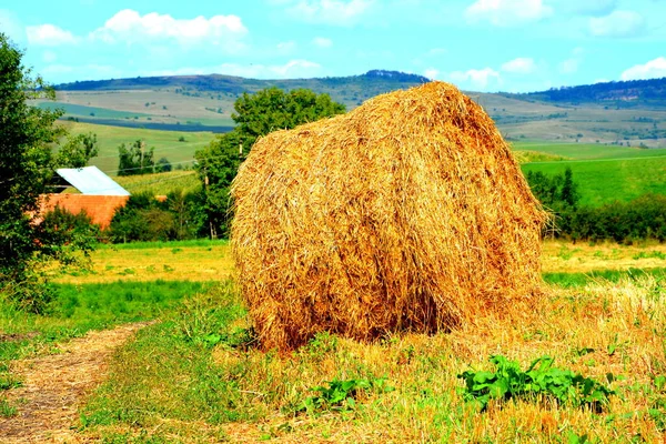 Typiska Lantliga Landskap Och Bondehus Beia Transsylvanien Rumänien Bosättningen Grundades — Stockfoto