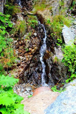 Fereastra Sambetei 'deki nehir, Fagaras, Carpathian Dağı. Romanya 'nın Transilvanya ormanlarındaki tipik manzara. Yazın ortasında, güneşli bir günde yeşil bir manzara.
