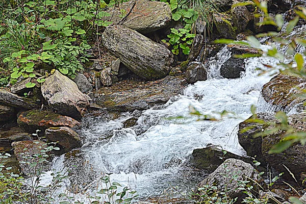 River Fereastra Sambetei Fagaras Carpathian Mountain Typical Landscape Forests Transylvania — Stock Photo, Image