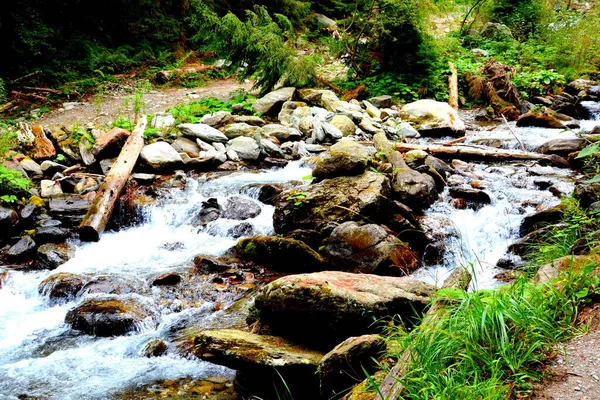 Fereastra Sambetei Fagaras Carpathian山の川 ルーマニアのトランシルヴァニアの森の中の典型的な風景 真夏の緑の風景 晴れた日に — ストック写真