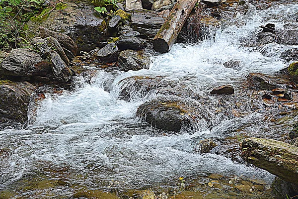 Fluss Fereastra Sambetei Fagaras Karpaten Typische Landschaft Den Wäldern Siebenbürgens — Stockfoto