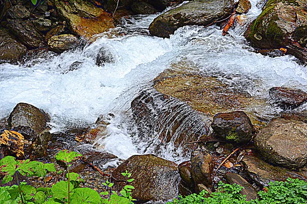 Rio Fereastra Sambetei Fagaras Montanha Cárpatos Paisagem Típica Nas Florestas — Fotografia de Stock