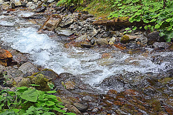 Fereastra Sambetei 'deki nehir, Fagaras, Carpathian Dağı. Romanya 'nın Transilvanya ormanlarındaki tipik manzara. Yazın ortasında, güneşli bir günde yeşil bir manzara.