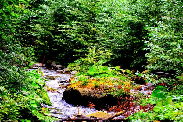 Rivière Fereastra Sambetei Fagaras Montagne Des Carpates Paysage Typique Dans — Photo