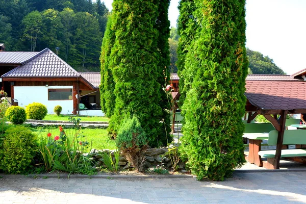 수도원 Monastery Sambata 트란실바니아 지역의스 Smbta Sus 루마니아 정교회 수도원이다 — 스톡 사진