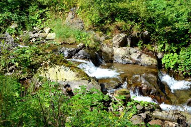 Fagaras 'taki nehir, Fereastra Sambetei. Romanya 'nın Transilvanya ormanlarındaki tipik manzara. Yazın ortasında, güneşli bir günde yeşil bir manzara.