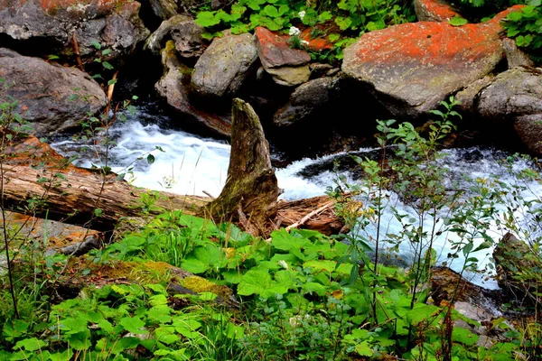 Fereastra Sambetei Fagaras Nas Montanhas Dos Cárpatos Paisagem Típica Nas — Fotografia de Stock