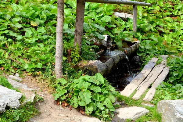 Fereastra Sambatei Fagaras Carpathian Mountains Typical Landscape Forests Transylvania Romania — Stock Photo, Image