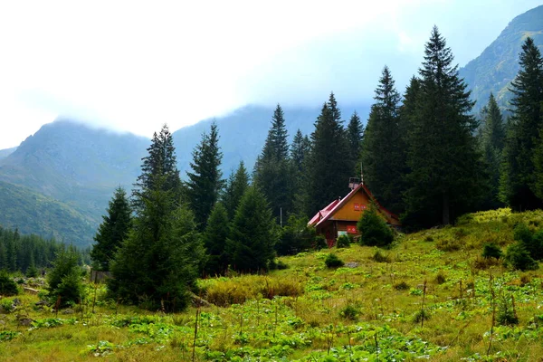 Fereastra Sambatei Fagaras Karpatach Typowy Krajobraz Lasach Siedmiogrodu Rumunia Zielony — Zdjęcie stockowe