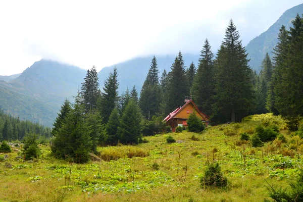喀尔巴阡山脉法加拉的Fereastra Sambatei 罗马尼亚特兰西瓦尼亚森林的典型景观 仲夏的绿意盎然 阳光明媚 — 图库照片