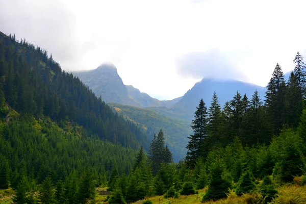 Fereastra Sambatei Fagaras Карпатські Гори Типовий Пейзаж Лісах Трансільванії Румунія — стокове фото