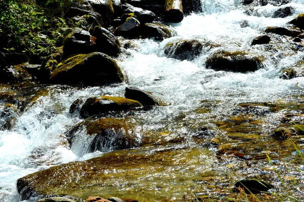 Fereastra Sambatei Fagaras Montañas Cárpatas Paisaje Típico Los Bosques Transilvania — Foto de Stock