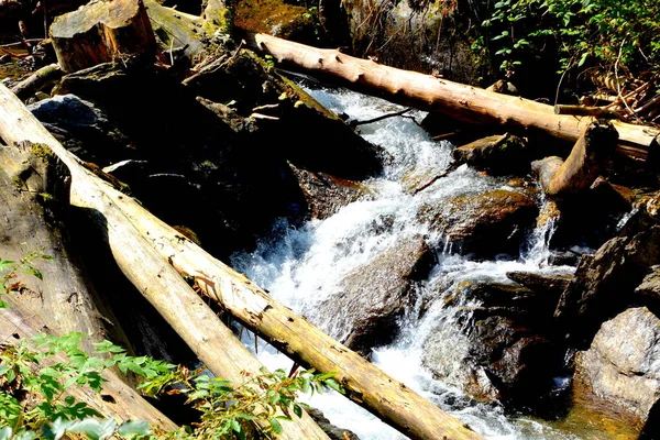 Rio Fagaras Fereastra Sambetei Paisagem Típica Nas Florestas Transilvânia Roménia — Fotografia de Stock