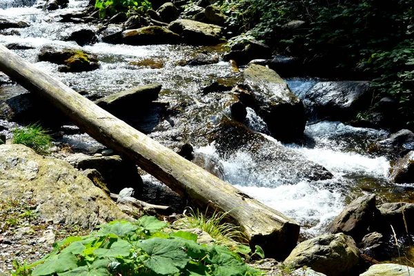 Fluss Den Karpaten Mouantains Fagaras Typische Landschaft Den Wäldern Von — Stockfoto