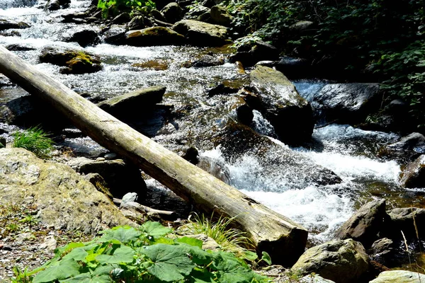 Río Los Cárpatos Mouantains Fagaras Paisaje Típico Los Bosques Transilvania — Foto de Stock