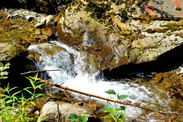 Rivière Dans Les Montagnes Des Carpates Fagaras Paysage Typique Dans — Photo