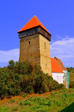 Romanya 'nın Transilvanya kentindeki Ruja köyündeki Ortaçağ Sakson Evanjelik Kilisesi. Yerleşim yeri Sakson koloniciler tarafından 12. yüzyılın ortalarında kuruldu.
