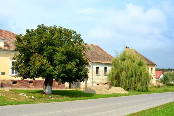 Typische Ländliche Landschaft Und Bauernhäuser Barcut Siebenbürgen Rumänien Die Siedlung — Stockfoto