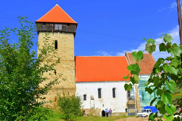 Igreja Evangélica Saxão Medieval Fortificada Aldeia Ruja Transilvânia Romênia Assentamento — Fotografia de Stock