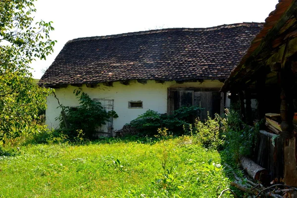 Tipiche Case Rurali Contadine Nel Villaggio Ruja Transilvania Romania Insediamento — Foto Stock