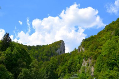 Romanya 'nın Transilvanya ormanlarındaki tipik manzara. Yazın ortasında, güneşli bir günde, Rasnov 'da yeşil bir manzara