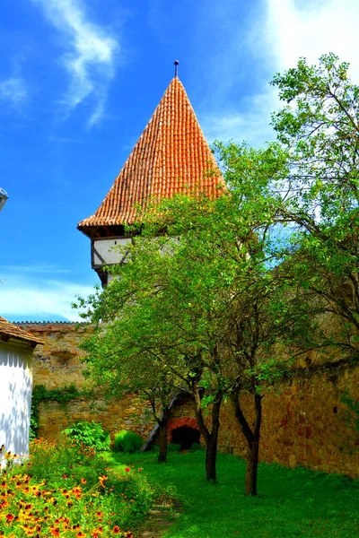 Igreja Saxão Medieval Fortificada Aldeia Cincsor Klienschenk Transilvânia Romênia Assentamento — Fotografia de Stock