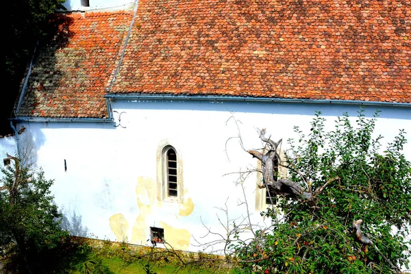 Eglise Saxonne Médiévale Fortifiée Dans Village Cincsor Klienschenk Transylvanie Roumanie — Photo