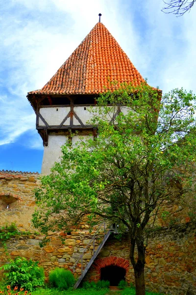 Befestigte Mittelalterliche Sächsische Kirche Dorf Cincsor Klienschenk Siebenbürgen Rumänien Die — Stockfoto
