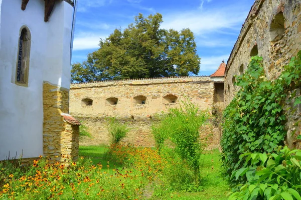 Eglise Saxonne Médiévale Fortifiée Dans Village Cincsor Klienschenk Transylvanie Roumanie — Photo