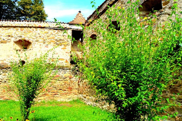 Igreja Saxão Medieval Fortificada Aldeia Cincsor Klienschenk Transilvânia Romênia Assentamento — Fotografia de Stock