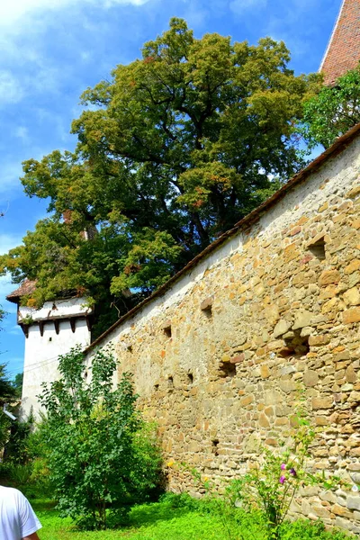 Romanya Nın Transilvanya Kentindeki Cincsor Klienschenk Köyündeki Güçlendirilmiş Ortaçağ Sakson — Stok fotoğraf