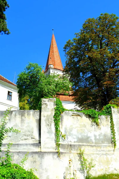 Versterkte Middeleeuwse Saksische Evangelische Kerk Het Dorp Grossschenk Cincu Transsylvanië — Stockfoto