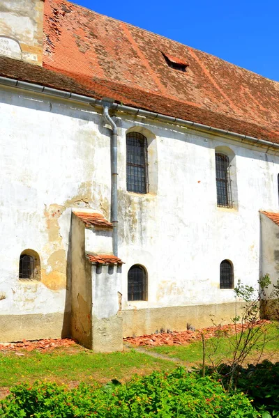 Versterkte Middeleeuwse Saksische Evangelische Kerk Het Dorp Grossschenk Cincu Transsylvanië — Stockfoto