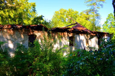 Romanya 'nın Transilvanya kentindeki Cincu, Grossschenk, Grossschenk köyündeki tipik kırsal alan ve köylü evleri. Yerleşim yeri Sakson koloniciler tarafından 12. yüzyılın ortalarında kuruldu.