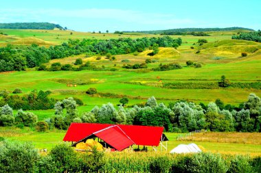 Romanya 'nın Transilvanya ovalarındaki tipik kırsal alan. Yazın ortasında, güneşli bir günde yeşil bir manzara.