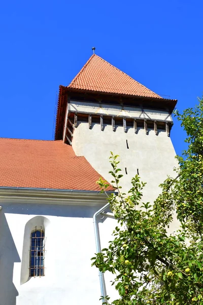 Stärkt Medeltida Saxkyrka Dealu Frumos Schoenberg Merghindeal Kommun Sibiu Län — Stockfoto