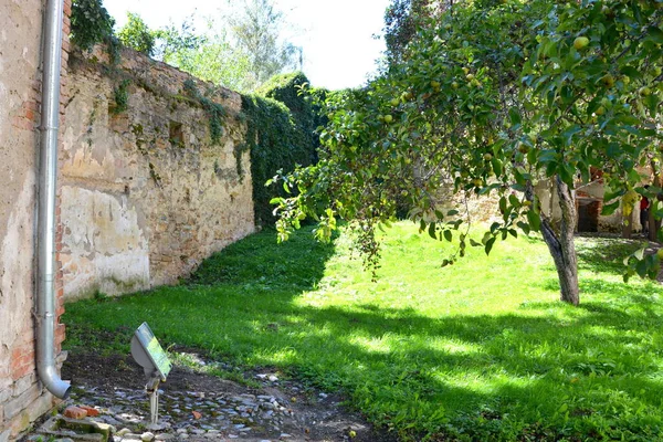 Igreja Saxão Medieval Fortificada Dealu Frumos Schoenberg Uma Aldeia Comuna — Fotografia de Stock