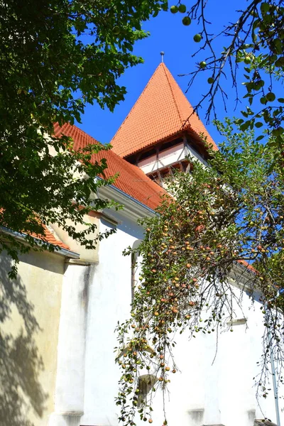 Ενισχυμένη Μεσαιωνική Εκκλησία Σαξόφωνο Στο Dealu Frumos Schoenberg Ένα Χωριό — Φωτογραφία Αρχείου