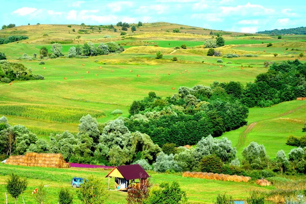 Romanya Nın Transilvanya Ovalarındaki Tipik Kırsal Alan Yazın Ortasında Güneşli — Stok fotoğraf