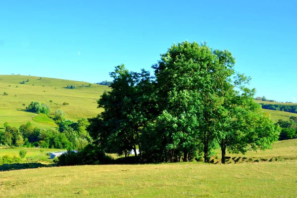 Paisaje Rural Típico Las Llanuras Transilvania Rumania Paisaje Verde Pleno —  Fotos de Stock