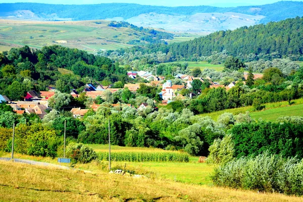 Typowy Krajobraz Wiejski Równinach Siedmiogrodu Rumunia Zielony Krajobraz Środku Lata — Zdjęcie stockowe