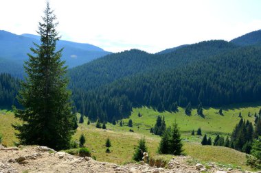 Bucegi Massif, Carpathian Bend Dağları, Transilvanya, Romanya 'da. Büyük bir yapısal ve morfolojik karmaşıklığa sahip olan Bucegi Massif doğal bir kale olarak görünüyor..