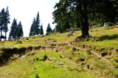 Bucegi Massif, Carpathian Bend Dağları, Transilvanya, Romanya 'da. Büyük bir yapısal ve morfolojik karmaşıklığa sahip olan Bucegi Massif doğal bir kale olarak görünüyor..