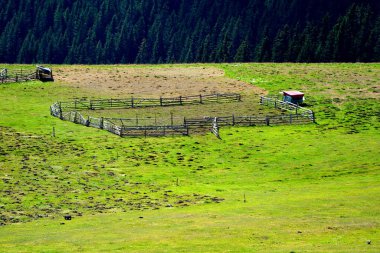 Bucegi Massif, Carpathian Bend Dağları, Transilvanya, Romanya 'da. Büyük bir yapısal ve morfolojik karmaşıklığa sahip olan Bucegi Massif doğal bir kale olarak görünüyor..