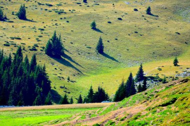 Bucegi Massif, Carpathian Bend Dağları, Transilvanya, Romanya 'da. Büyük bir yapısal ve morfolojik karmaşıklığa sahip olan Bucegi Massif doğal bir kale olarak görünüyor..