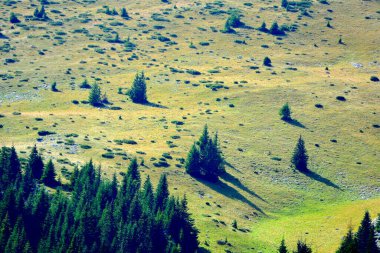 Bucegi Massif, Carpathian Bend Dağları, Transilvanya, Romanya 'da. Büyük bir yapısal ve morfolojik karmaşıklığa sahip olan Bucegi Massif doğal bir kale olarak görünüyor..