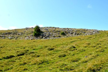 Bucegi Massif, Carpathian Bend Dağları, Transilvanya, Romanya 'da. Büyük bir yapısal ve morfolojik karmaşıklığa sahip olan Bucegi Massif doğal bir kale olarak görünüyor..