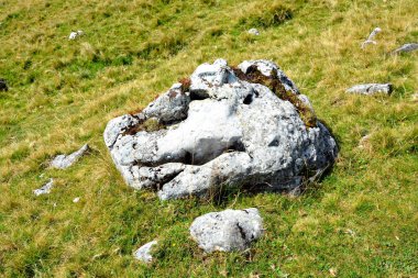 Bucegi Massif, Carpathian Bend Dağları, Transilvanya, Romanya.