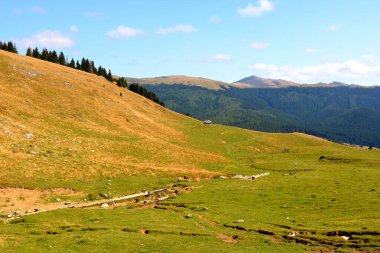Büyük yapısal ve morfolojik karmaşıklığa sahip olan Bucegi Massif, güçlü kayalıklar tarafından desteklenen ve 1600-2500 metrede asılı duran doğal bir kale gibi görünüyor..