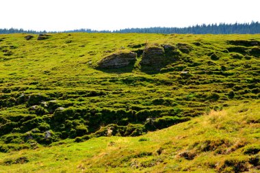 Büyük yapısal ve morfolojik karmaşıklığa sahip olan Bucegi Massif, güçlü kayalıklar tarafından desteklenen ve 1600-2500 metrede asılı duran doğal bir kale gibi görünüyor..